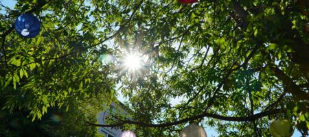 Sommerliche Dekoration Outdoor-Fest Lichterketten im Freien Sommerfest im Garten Natur und Dekoration Laternen im Grünen Sonnenlicht und Natur Stimmungsvolle Beleuchtung Gartenbeleuchtung Dekoration für Outdoor-Events